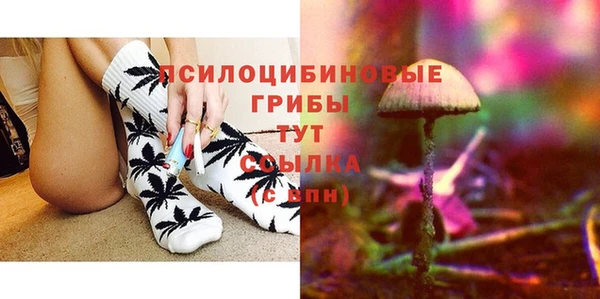 молекула духа Гусев