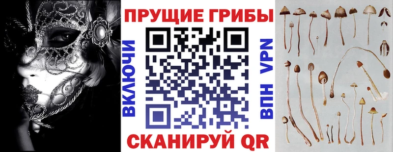 Псилоцибиновые грибы мицелий  наркотики  Нижневартовск 