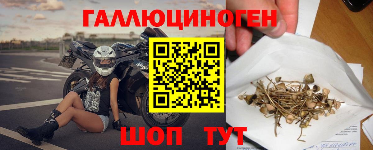 Галлюциногенные грибы мицелий  Псилоцибиновые грибы Psilocybe  Нижневартовск  Вход с VPN 